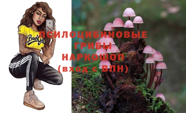 эйфоретик Магас