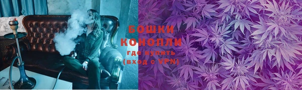 амф Майский