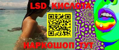 стаф Балахна