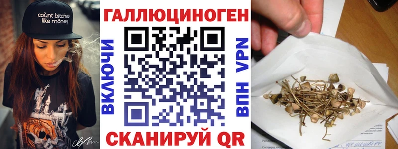 Галлюциногенные грибы GOLDEN TEACHER  купить  цена  Великий Новгород 