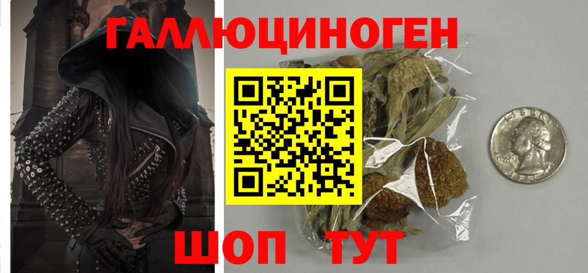 Псилоцибиновые грибы Magic Shrooms  Великий Новгород  где купить наркоту  Галлюциногенные грибы MAGIC MUSHROOMS 