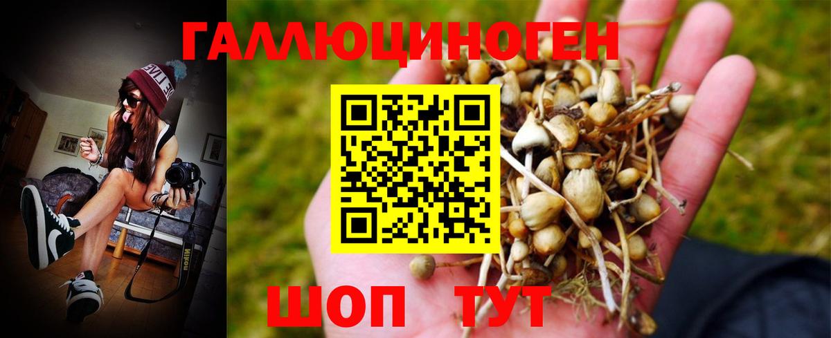 Галлюциногенные грибы Cubensis Великий Новгород