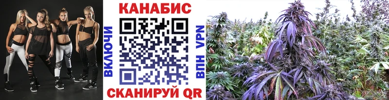 Каннабис конопля Великий Новгород